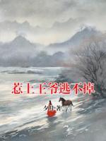 惹上王爷逃不掉