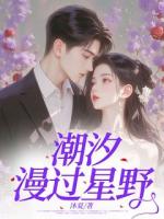 潮汐漫过星野
