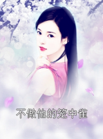 不做他的笼中雀