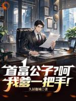 首富公子？呵，我爹一把手！