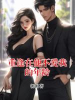 重逢在他不爱我的年龄