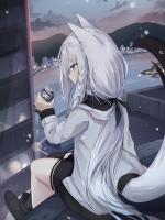 我有一只男狐狸精：结局傅珩洛桐