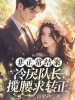 非正常结案：冷戾队长揽腰求转正