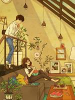 宁贞不悔免费阅读