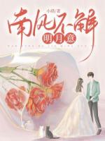 南风不解明月意