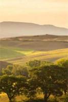 黑莲花驾到，不想谈情只想晋升：全篇+后续+结局