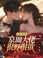 夜夜难哄：京圈大佬很野很欲