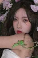 玄幻女神都奔向我