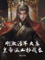 刚激活军火库，皇帝派人抄我家？