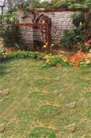 七零假千金，海岛撩汉甜蜜蜜