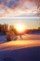 打猎归来，我成了他的豪门夫人