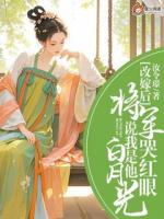 改嫁后，将军哭红眼说我是他白月光