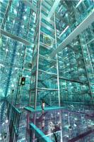 深陷惊天谋局！替死鬼他破局***