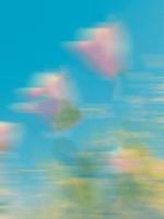 重生手撕陷害我的老公和秘书