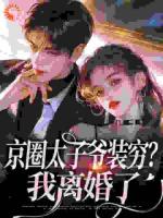 京圈太子爷装穷？我离婚了