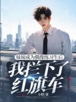 妹妹成为偶像练习生后，我拦下了红旗车