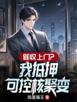 催收上门？我抵押可控核聚变