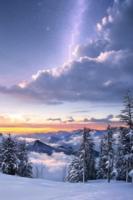 穿越后，我怂恿真千金篡位