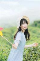 我在官场一路亨通