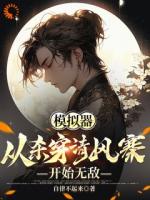 模拟器：从杀穿清风寨开始无敌