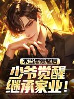 不当恋爱脑后，少爷觉醒继承家业！