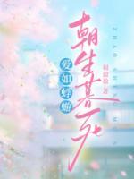 爱如蜉蝣，朝生暮死