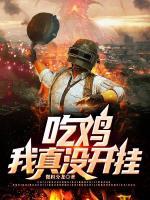 吃鸡，我真没开挂