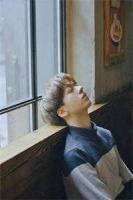 红楼：贾琮崛起