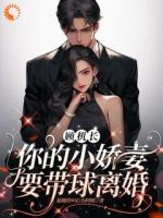 顾机长，你的小娇妻要带球离婚