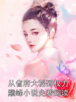 从省府大秘到权力巅峰小说免费阅读