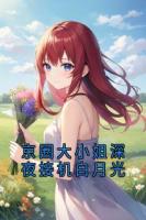 京圈大小姐深夜接机白月光