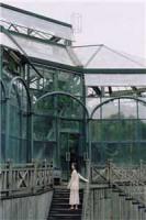 被退婚后，领着动物统一三国