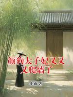 颜狗太子妃又又又爬墙了