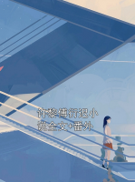 许黎傅衍迟小说全文+番外