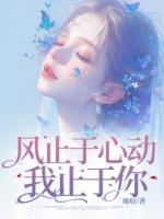 风止于心动我止于你