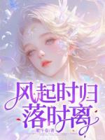 风起时归落时离