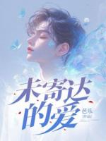 未寄达的爱