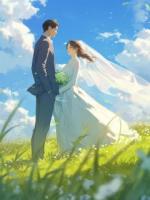 盛青禾裴景辞夏宁枝