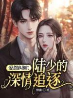 爱怨纠缠：陆少的深情追逐