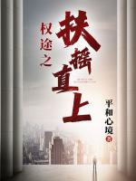 权途之扶摇直上