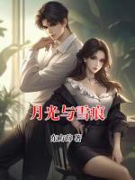 月光与雪痕