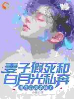 妻子假死和白月光私奔，重生后我杀疯了