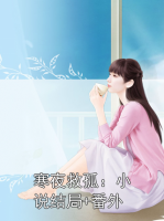 寒夜救孤：小说结局+番外