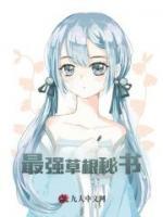 最强草根秘书