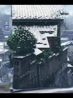 千缕月光碎于一地的小说免费