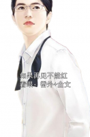 如果再见不能红着眼：番外+全文