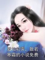 爱如初霁，散若寒霜的小说免费