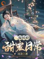 二嫁后，我的新任夫君有秘密