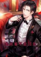 金丝雀不会回头