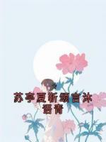 苏亭夏靳颂言沐语青